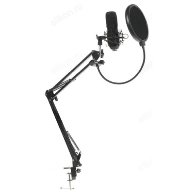 Микрофон Ritmix RDM-169, черный-1