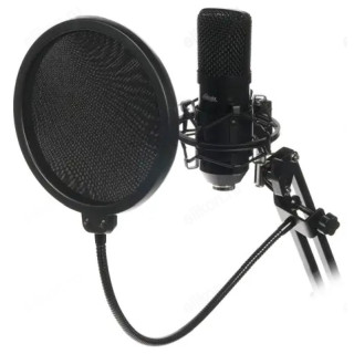 Микрофон Ritmix RDM-169, черный-2