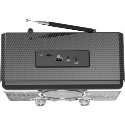 Радиоприемник Ritmix RPR-095, Silver-1