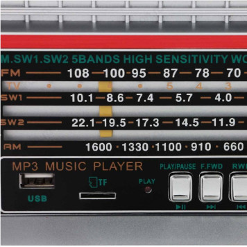Радиоприемник Ritmix RPR-102, Black-3