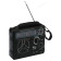 радиоприемник RITMIX RPR-888
