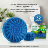 Таблетка-освежитель для унитаза PROWAY Лес 474-016