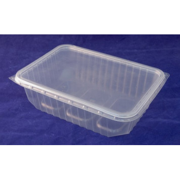 Контейнер UP 750мл 186*132*52мм низкий с крышкой-1