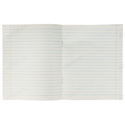 Тетрадь линейка 18л 579-009-1