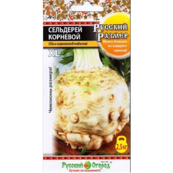 Семена сельдерей корневой Русский размер 100шт НК