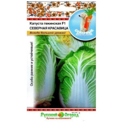 Семена капуста пекинская Северная красавица F1 50шт НК