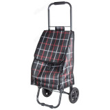 Сумка-тележка Рыжий кот D-203ECO BROWN