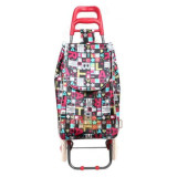 Сумка-тележка Рыжий кот 093541 А204 Париж