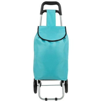 Тележка с сумкой WR3030 'Бирюза' 15кг РЫЖИЙ КОТ 093590-1