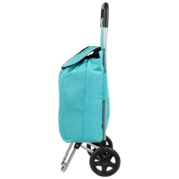 Тележка с сумкой WR3030 'Бирюза' 15кг РЫЖИЙ КОТ 093590-2