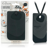 Ароматизатор для дома 'Fragrant Card' Dark Amber (6004) РЫЖИЙ КОТ 105244