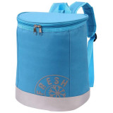 Термосумка СВ-250 РЫЖИЙ КОТ 998250