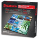 Весы напольные SAKURA SA-5071SN электронные