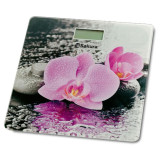 Весы напольн 180кг элек орхидеи SAKURA SA-5072F
