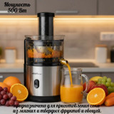 Соковыжималка SCARLETT JE51S02