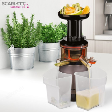 Соковыжималка шнековая SCARLETT JE50S43 200Вт-6