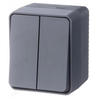 Выключатель наружный 2-клавишный SE AtlasDesign Profi54, 10 АХ, Антрацит