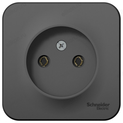 Розетка наружная б/з, без шторок SE Blanca 16А, 250В, изолир. пластина, Антрацит