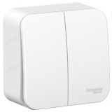 Выключатель наружный 2-клавишный SE BLNVA065011