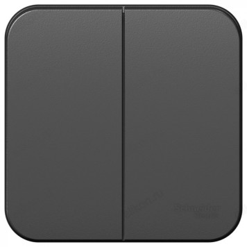 Выключатель наружный 2-клавишный SE Blanca, 10А, 250B, Антрацит, изолир. пластина-1