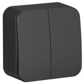 Выключатель наружный 2-клавишный SE BLNVA105016