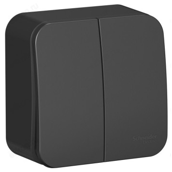 Выключатель наружный 2-клавишный SE Blanca, 10А, 250B, Антрацит, изолир. пластина