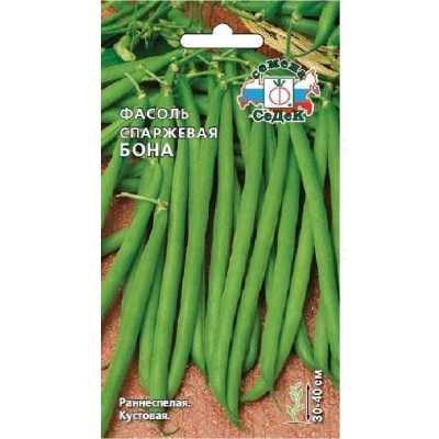 Семена фасоль Бона Седек