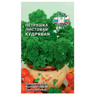 Семена петрушка Кудрявая 2г Седек
