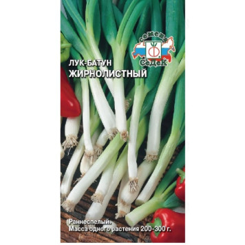 Семена лук батун Жирнолистный 1г СеДеК