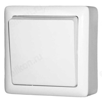 Выключатель наружный 1-клавишный SE Wessen ХИТ, изолир. пластина, 6А, 250В, белый-1