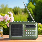 Радиоприемник Сигнал РП-235 (USB/microSD)