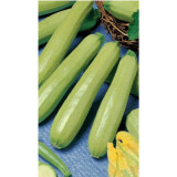 Кабачок Якорь 10шт Уральский Дачник 218260