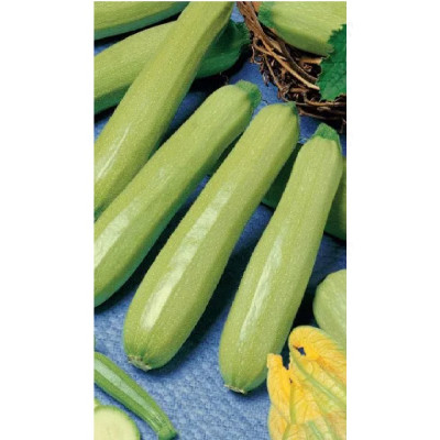 Кабачок Якорь 10шт Уральский Дачник 218260