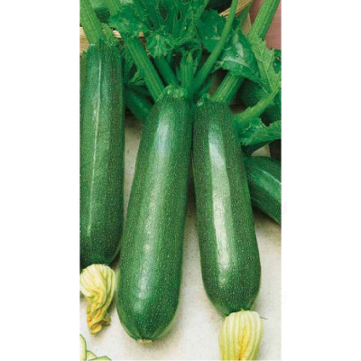 Кабачок Скворушка 2г Б/П Уральский Дачник 769089