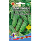 Семена огурец Чудо на засол 10шт Уральский дачник Семена огурец Чудо на засол 10шт Уральский дачник