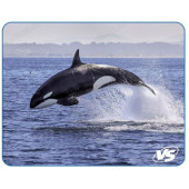 Коврик для мыши VS "Фауна", "Касатка" (194*233*3 мм)