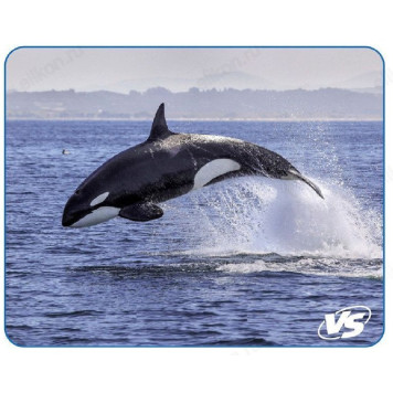 Коврик для мыши VS 