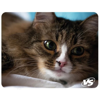 Коврик для мыши VS 