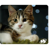 Коврик для мыши VS "Cat" Рис.7, 194*233*3 мм