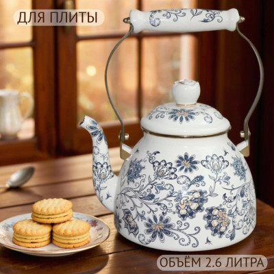 Чайник эмаль ZEIDAN Z-4535 2,6л Aster