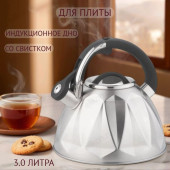 Чайник для плиты со свистком ZEIDAN Z-4544 3,0л Чайник для плиты со свистком ZEIDAN Z-4544 3,0л