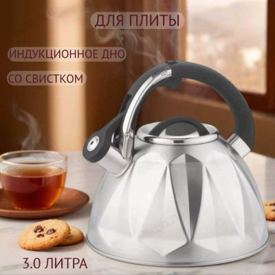 Чайник для плиты со свистком ZEIDAN Z-4544 3,0л