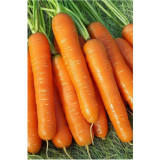 Морковь Нантская 4 1,5г б/п ЗолСотАлтая 557944