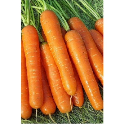 Морковь Нантская 4 1,5г б/п ЗолСотАлтая 557944