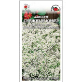 Алиссум Снежный ковер 0,1г Золотая Сотка 582007