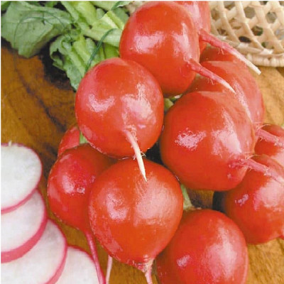 Редис Чупа-Чупс F1 (1г) б/п Золотая Сотка 618925