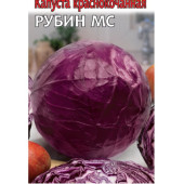 Семена капуста к/к Рубин МС 0,3г ЗолСотАлтая